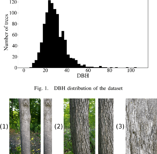 Figure 1 for Tree Species Identification from Bark Images Using Convolutional Neural Networks