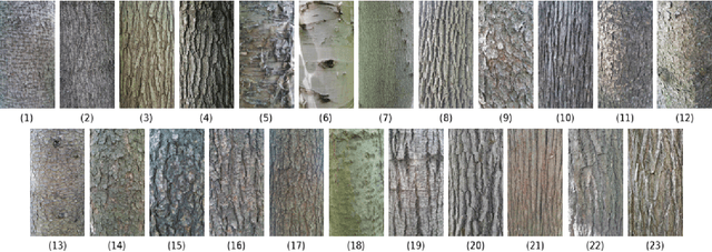 Figure 2 for Tree Species Identification from Bark Images Using Convolutional Neural Networks