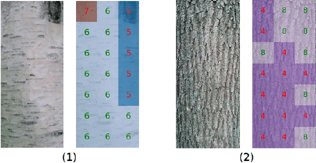 Figure 3 for Tree Species Identification from Bark Images Using Convolutional Neural Networks