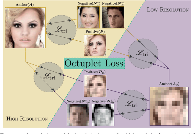 Figure 1 for Octuplet Loss: Make Face Recognition Robust to Image Resolution