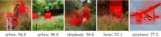 Figure 4 for A patch-based architecture for multi-label classification from single label annotations