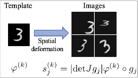 Figure 1 for Invariance encoding in sliced-Wasserstein space for image classification with limited training data