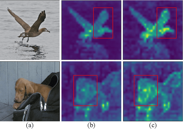Figure 2 for Transformer with Peak Suppression and Knowledge Guidance for Fine-grained Image Recognition