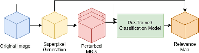 Figure 1 for Localized Perturbations For Weakly-Supervised Segmentation of Glioma Brain Tumours