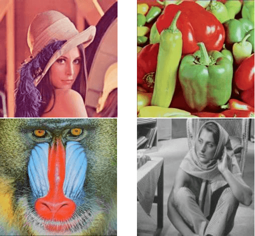 Figure 3 for A Novel Robust Method to Add Watermarks to Bitmap Images by Fading Technique