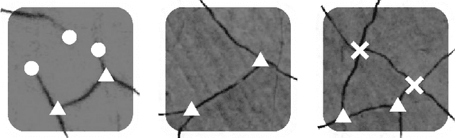 Figure 1 for "The cracks that wanted to be a graph": application of image processing and Graph Neural Networks to the description of craquelure patterns