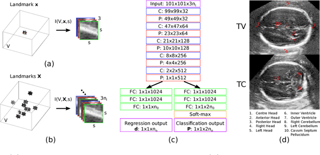 Figure 3 for Fast Multiple Landmark Localisation Using a Patch-based Iterative Network