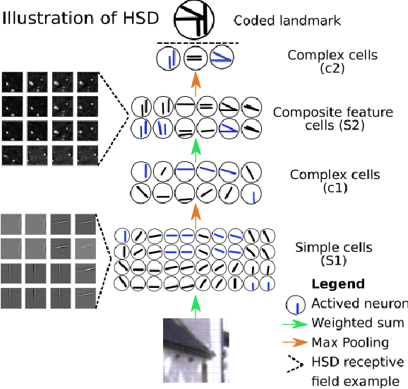 Figure 4 for Forming a sparse representation for visual place recognition using a neurorobotic approach