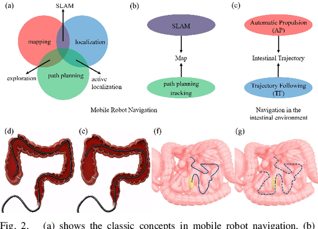 Figure 2 for Autonomous Magnetic Navigation Framework for Active Wireless Capsule Endoscopy Inspired by Conventional Colonoscopy Procedures