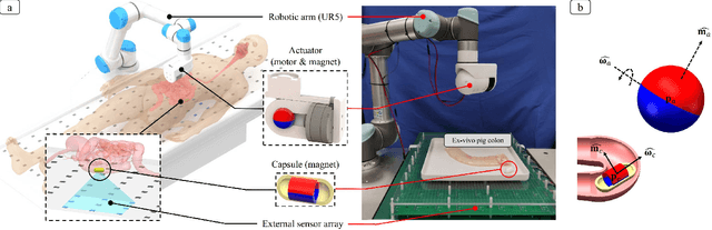 Figure 4 for Autonomous Magnetic Navigation Framework for Active Wireless Capsule Endoscopy Inspired by Conventional Colonoscopy Procedures