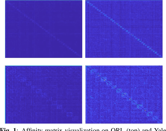 Figure 1 for Joint Learning of Self-Representation and Indicator for Multi-View Image Clustering