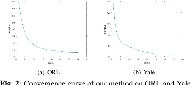 Figure 3 for Joint Learning of Self-Representation and Indicator for Multi-View Image Clustering