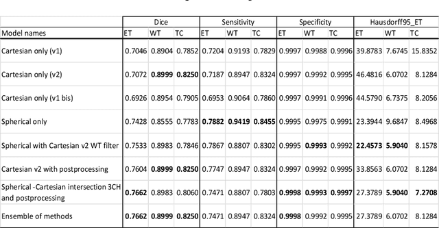 Figure 2 for Impact of Spherical Coordinates Transformation Pre-processing in Deep Convolution Neural Networks for Brain Tumor Segmentation and Survival Prediction