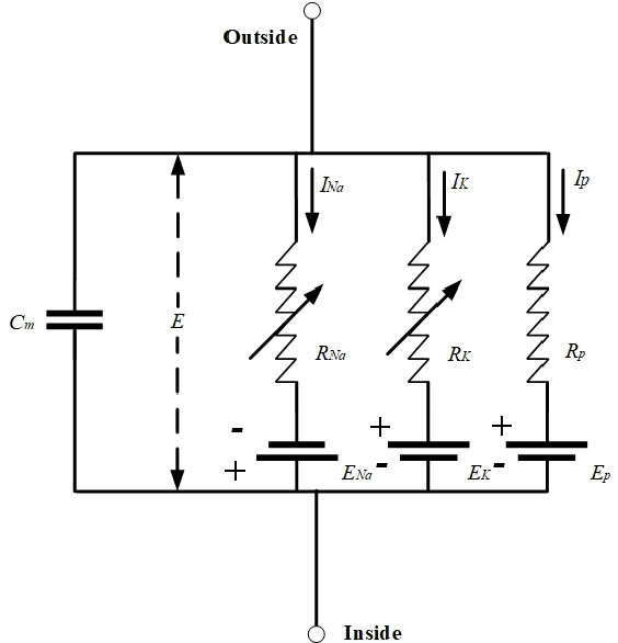 Figure 1 for Bio-inspired Intelligence with Applications to Robotics: A Survey