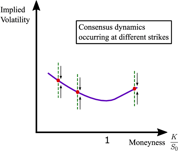 Figure 2 for Learning Agents in Black-Scholes Financial Markets: Consensus Dynamics and Volatility Smiles