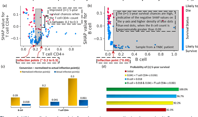 Figure 4 for Explainable Artificial Intelligence Reveals Novel Insight into Tumor Microenvironment Conditions Linked with Better Prognosis in Patients with Breast Cancer