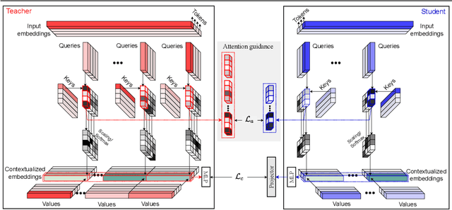 Figure 1 for Attention Distillation: self-supervised vision transformer students need more guidance