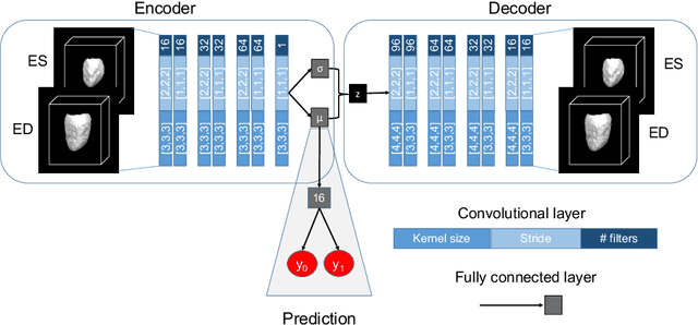 Figure 1 for Learning Interpretable Anatomical Features Through Deep Generative Models: Application to Cardiac Remodeling