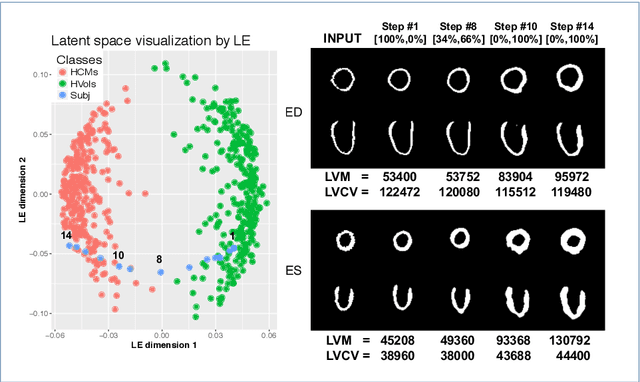 Figure 2 for Learning Interpretable Anatomical Features Through Deep Generative Models: Application to Cardiac Remodeling