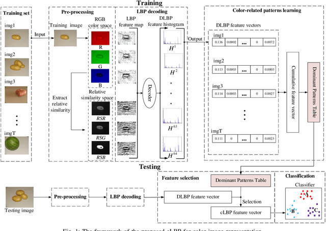 Figure 1 for Color-related Local Binary Pattern: A Learned Local Descriptor for Color Image Recognition