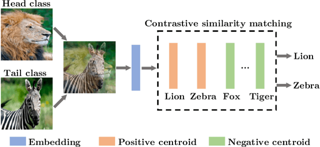 Figure 1 for Improving Tail-Class Representation with Centroid Contrastive Learning