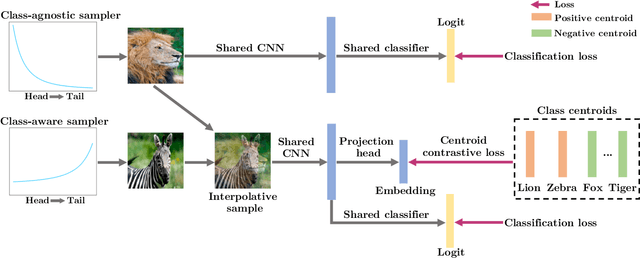 Figure 3 for Improving Tail-Class Representation with Centroid Contrastive Learning