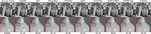 Figure 2 for COAST: COntrollable Arbitrary-Sampling NeTwork for Compressive Sensing