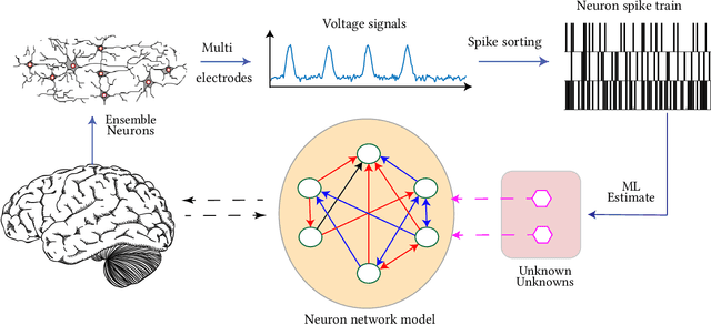 Figure 1 for Data-driven Perception of Neuron Point Process with Unknown Unknowns