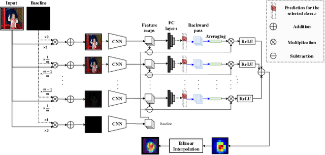 Figure 3 for Integrated Grad-CAM: Sensitivity-Aware Visual Explanation of Deep Convolutional Networks via Integrated Gradient-Based Scoring