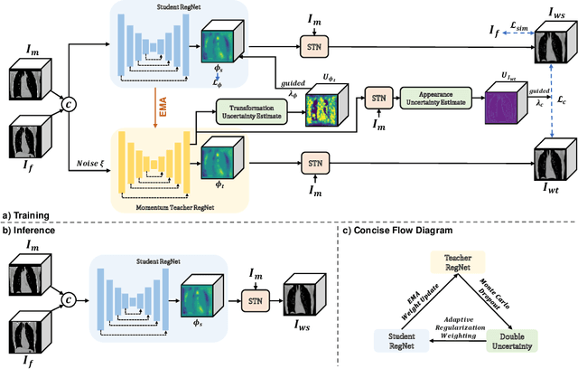 Figure 1 for Double-Uncertainty Assisted Spatial and Temporal Regularization Weighting for Learning-based Registration