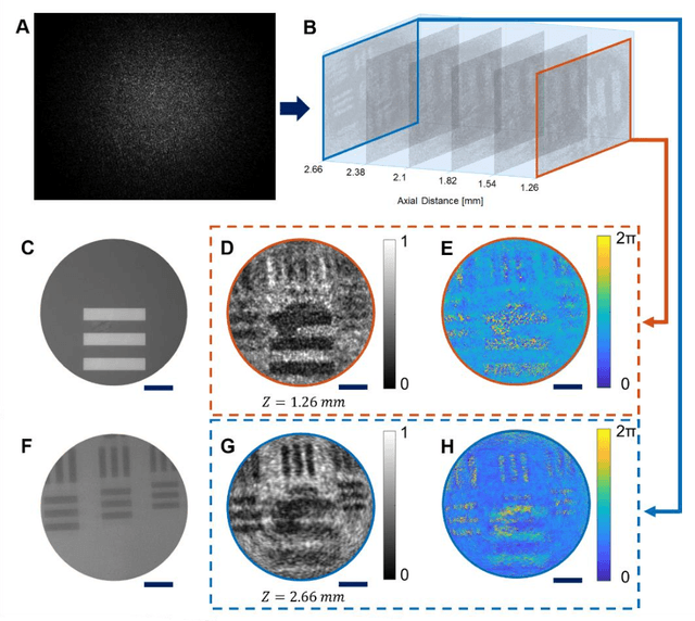 Figure 2 for Quantitative phase imaging through an ultra-thin lensless fiber endoscope