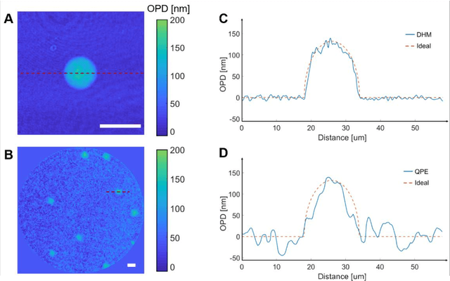 Figure 3 for Quantitative phase imaging through an ultra-thin lensless fiber endoscope