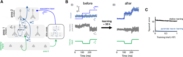 Figure 3 for Dendritic error backpropagation in deep cortical microcircuits