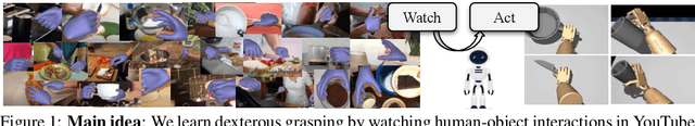 Figure 1 for DexVIP: Learning Dexterous Grasping with Human Hand Pose Priors from Video