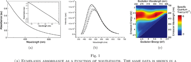Figure 1 for Pigment Melanin: Pattern for Iris Recognition