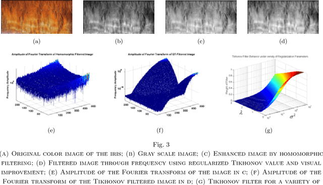 Figure 3 for Pigment Melanin: Pattern for Iris Recognition