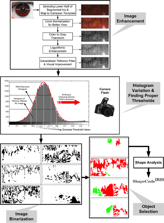 Figure 4 for Pigment Melanin: Pattern for Iris Recognition