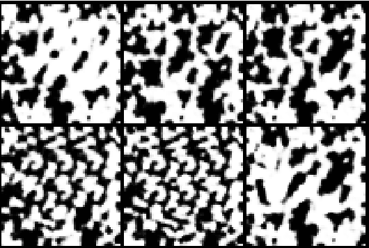 Figure 4 for Regularized Generative Adversarial Network