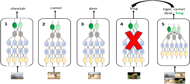 Figure 1 for Collage Inference: Achieving low tail latency during distributed image classification using coded redundancy models