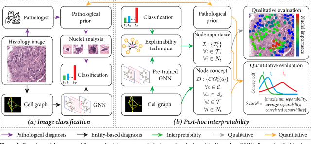 Figure 3 for Quantifying Explainers of Graph Neural Networks in Computational Pathology
