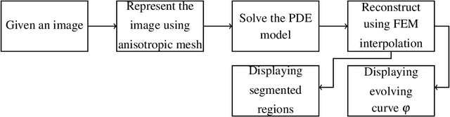 Figure 2 for Anisotropic Mesh Adaptation for Image Segmentation Based on Mumford-Shah Functional