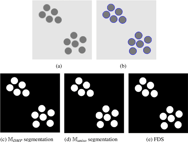 Figure 3 for Anisotropic Mesh Adaptation for Image Segmentation Based on Mumford-Shah Functional