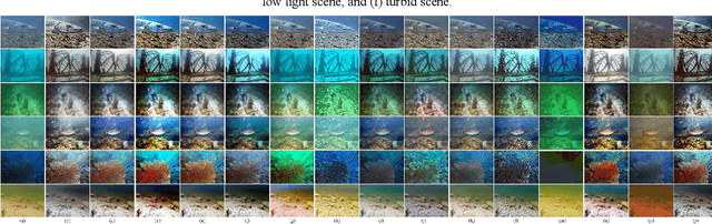 Figure 4 for UID2021: An Underwater Image Dataset for Evaluation of No-reference Quality Assessment Metrics