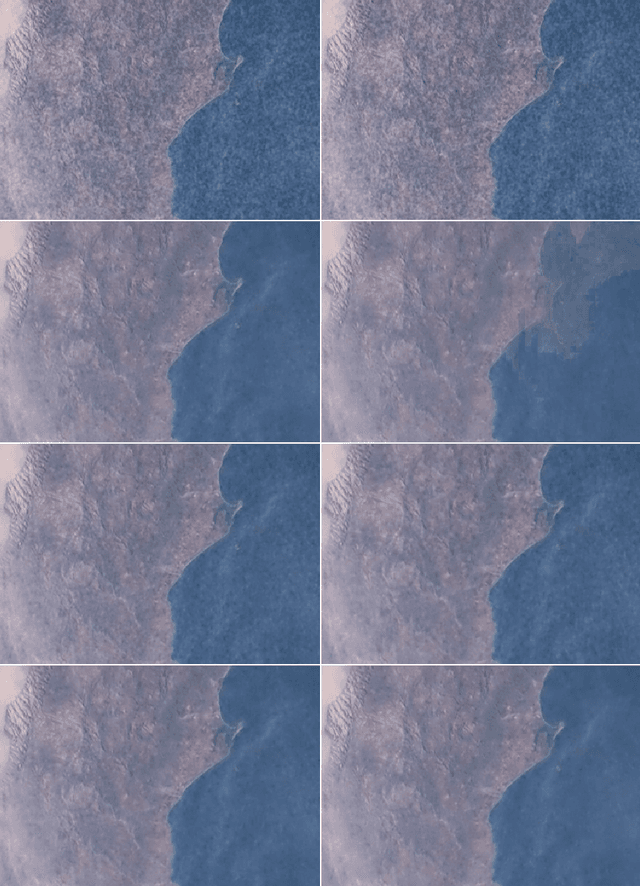 Figure 3 for A qualitative investigation of optical flow algorithms for video denoising