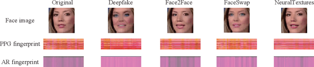 Figure 3 for Exposing Deepfake with Pixel-wise AR and PPG Correlation from Faint Signals
