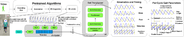 Figure 1 for Transforming Gait: Video-Based Spatiotemporal Gait Analysis
