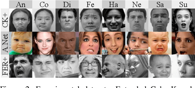 Figure 3 for Efficient Facial Feature Learning with Wide Ensemble-based Convolutional Neural Networks