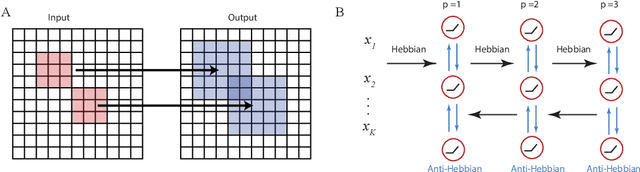 Figure 1 for Structured and Deep Similarity Matching via Structured and Deep Hebbian Networks