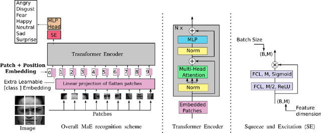 Figure 1 for Learning Vision Transformer with Squeeze and Excitation for Facial Expression Recognition