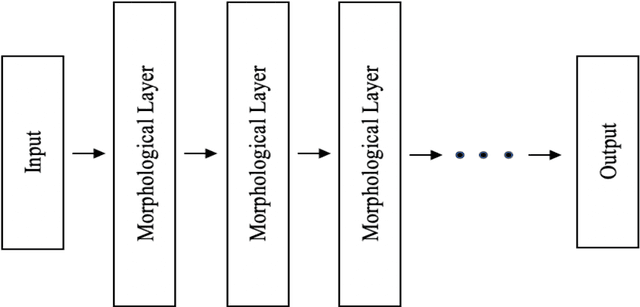 Figure 4 for Deep Morphological Neural Networks